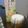 tamotan∞'s cooksnap of when they made 梅酒のビール割り.