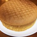 berry☆'s cooksnap of when they made 基本の☆スポンジケーキ（別立て法）.