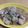 モニート's cooksnap of when they made ホクホク！！里芋＆大根＆イカの煮物.