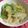 ちぃ−ち−chan's cooksnap of when they made しょうがとごま油をきかせた白菜のおひたし.
