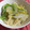 ちぃ−ち−chan's cooksnap of when they made しょうがとごま油をきかせた白菜のおひたし.