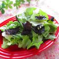 まろんかふぇ's cooksnap of when they made サニーレタスと海苔サラダ.