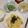 もりひめ's cooksnap of when they made ☆たらこクリームパスタ☆.