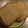 木成りはっさく's cooksnap of when they made ウチの湯だね全粒粉パン・HB.