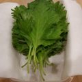 クックKMVAAO☆'s cooksnap of when they made 大葉の保存法.