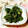 うさうさまろん's cooksnap of when they made 大根だけでもう一品★大根の葉のみぞれ煮！.