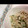 かおりんぱんだ's cooksnap of when they made 楽うまっ♪鶏肉と長芋のネギ塩炒め〜.