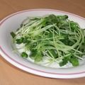 きらり流れ星's cooksnap of when they made 強火で!とうみょうのささっと炒め.