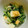 ねねしばこ's cooksnap of when they made 簡単美味しい♪菜の花のゆで卵マヨサラダ.