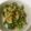 あやおーくいしんぼー's cooksnap of when they made あと１品(^ω^)春菊×ツナスイチリ和え.
