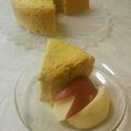 FUMIU's cooksnap of when they made かぼちゃの黒糖シフォンケーキ☆黒ゴマ入り.