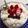 ひかりを's cooksnap of when they made ケーキに美味生クリーム.