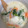 enokicks11's cooksnap of when they made かぶのとろとろミルクスープ.
