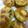 クックMAB152☆'s cooksnap of when they made もちふわ＊おから入り大根もち.