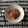aiai33333's cooksnap of when they made 秋香る♪サンマと舞茸のバター風味パスタ.