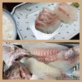 そろそろねんね's cooksnap of when they made 真鯛１匹で４品(真鯛の おろし方付き).