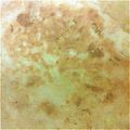 tomohan's cooksnap of when they made ☆コストコ☆プルコギビーフお好み焼き.