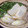 和宮鈴奈's cooksnap of when they made ☆あっさりと・・・鶏の水炊き☆.