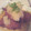 みやっちゅ's cooksnap of when they made サトイモと長芋のふわふわ.