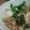 さやさや０２２４'s cooksnap of when they made ♪豆腐とニラのひき肉甘辛炒め♪.