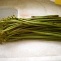 らどりん's cooksnap of when they made 春は山菜三昧❀ワラビのアク抜き.