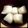 ayaly＊'s cooksnap of when they made ＊冷凍！大根おろし＊.