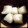 ayaly＊'s cooksnap of when they made ＊冷凍！大根おろし＊.