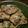 nao027's cooksnap of when they made もっちり〜な大根餅.