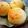 rodyboy1's cooksnap of when they made 「カルピス」パン.
