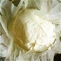 姫ぽんず's cooksnap of when they made 簡単手作り★カッテージチーズ.