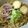 ともひー's cooksnap of when they made 煮豚と煮卵そしてラーメン鍋.