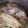 malinaaiko's cooksnap of when they made 鯛☆うしお汁.