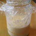 こぱこぱんだ's cooksnap of when they made 気楽に自家製酵母(元種づくり）.