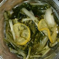 ジンジャーはちみつ's cooksnap of when they made ただ混ぜるだけ！水菜のお漬物！.