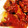 ʕ·͡·̫͖'s cooksnap of when they made 間違いなく旨い！牛肉と白ネギの甘辛煮♡.