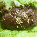 Mie（みぃ）'s cooksnap of when they made 簡単肉巻きおにぎり.