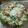 ＰＵＲＵ's cooksnap of when they made サーモンとアボカドのご馳走サラダ♡.