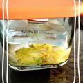 桜井凛子's cooksnap of when they made ボールで作れる白菜漬けで、おいしく菌活.