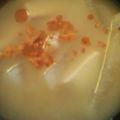 クックZ69KDS☆'s cooksnap of when they made ★☆美味しい！桃屋のラー油でお味噌汁☆★.