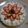Kealahou's cooksnap of when they made お店のように美味しいイチゴケーキ.