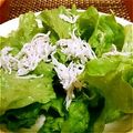 ネギ母さん's cooksnap of when they made レタスとしらすのサラダ.