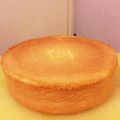 にっこりきっちん's cooksnap of when they made おかしな仲間スポンジケーキ.