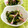ととろ＆めい's cooksnap of when they made コウサイタイと蒲鉾のポン酢和え.