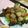 ひーゆっき's cooksnap of when they made 里芋のコロコロコロッケ サクふわとろ〜り.