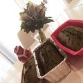 chihirola's cooksnap of when they made ほろ苦☆和な甘納豆抹茶ケーキ.