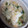 honey19's cooksnap of when they made 落とし卵のみそ汁.