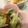 cookにゃんこ's cooksnap of when they made 松前漬けのセットで美味しい糸引く白菜漬け.