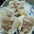 ぴーたんかーちゃん's cooksnap of when they made ☆簡単シュウマイ☆.
