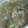 はるなちゅらる's cooksnap of when they made あさりとえのき茸のみそ汁.