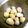 梨にゃんこ's cooksnap of when they made 里芋の皮のむき方.
